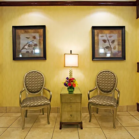Holiday Inn Express And Suites Snyder By Ihg-3