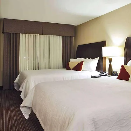 Hilton Garden Inn Clovis-3