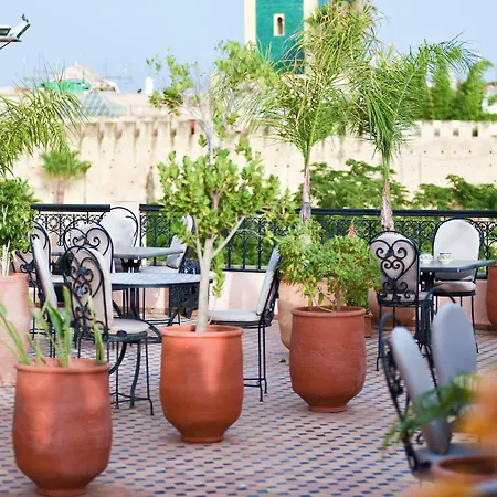 Riad Yacout-3
