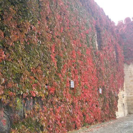 Parador De Olite-2