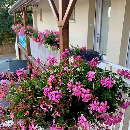 BRIT HOTEL CONFORT Lannion vers Perros-Guirec-2