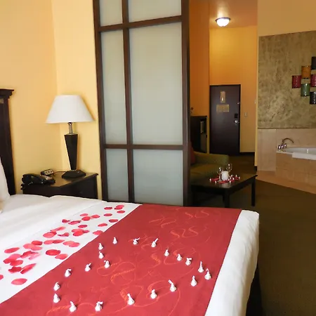 Comfort Suites Palestine-3