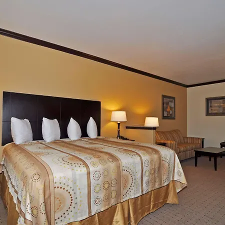 Best Western Plus Royal Mountain Inn & Suites-3