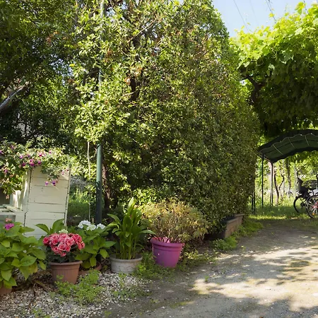 Residence Holidays-2