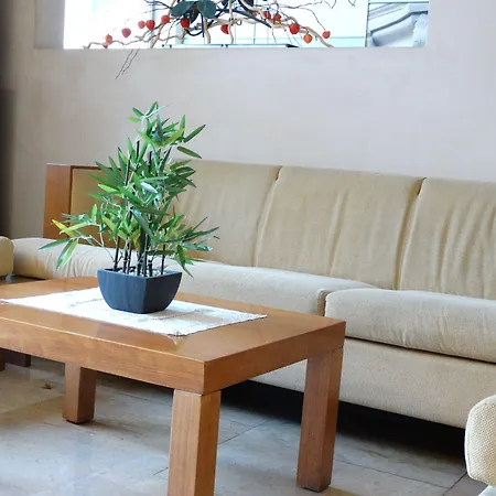 Hotel Rambla Figueres-3