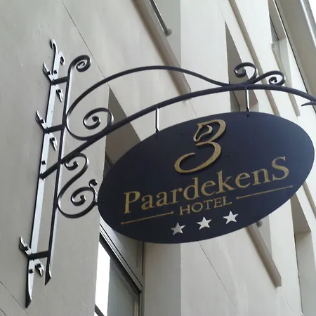 3 Paardekens - B&B City Centre Hotel-3