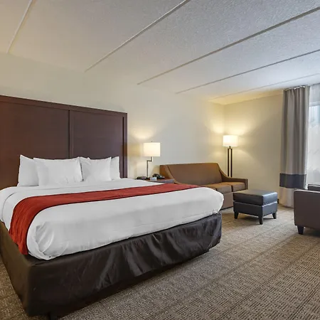 Comfort Inn Kissimmee-Lake Buena Vista South-2