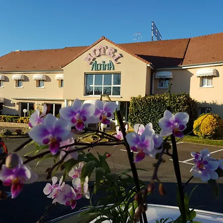 Logis Hotel Altina-3