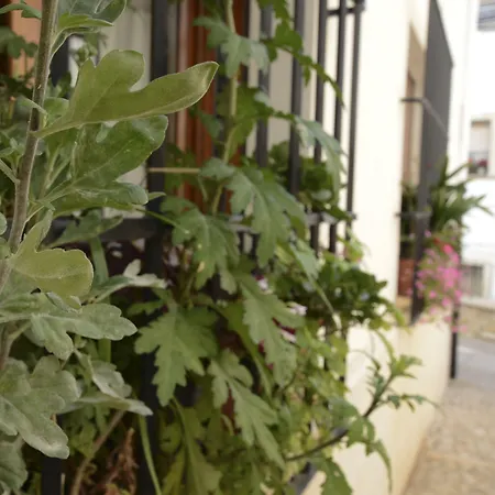 Hostal La Fonda Grupo Terra de Mar, alojamientos con encanto-2