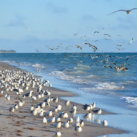 Casey Key Resorts - Beachfront-2