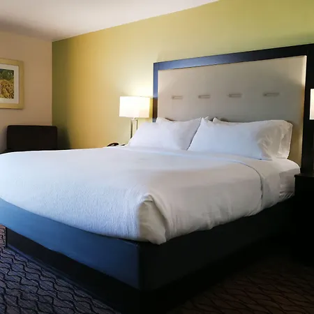 Holiday Inn Corpus Christi Downtown Marina By Ihg-2