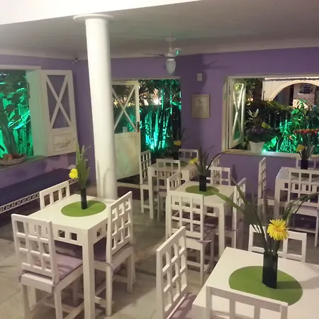 Hotel Pousada Papaya Verde-2