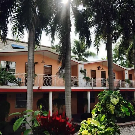 Palm Inn Hotel-2