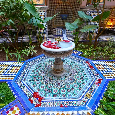 Riad Toyour- Riad Of Birds-2