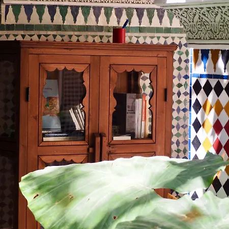 Riad Toyour- Riad Of Birds-3