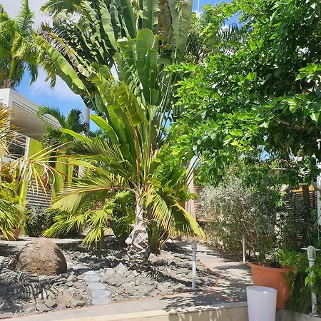 Majesty Palm Hotel-2
