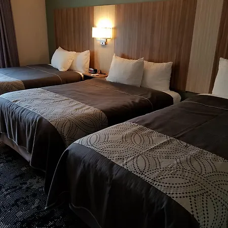 Aartpark Hotel Inn At Lewsiton-2
