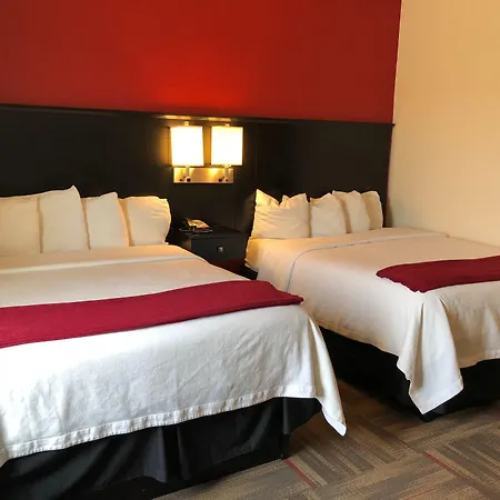 Black Gold Suites-3