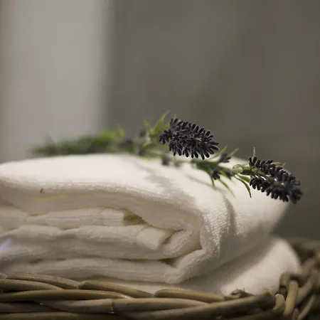 262 Boutique Hotel-2