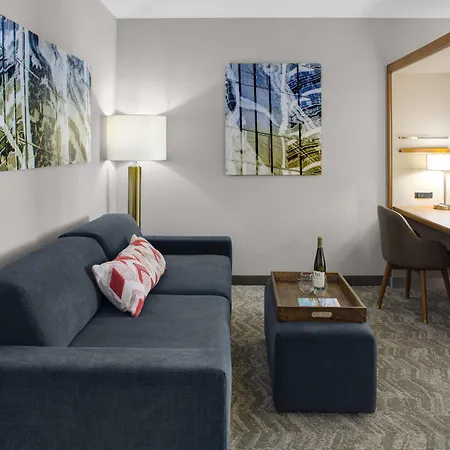 Springhill Suites By Marriott Kansas City Lenexa/City Center-2