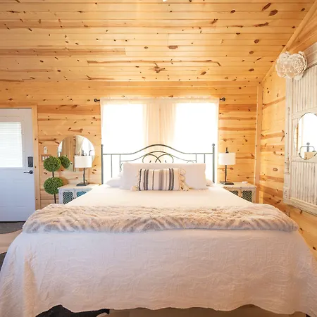 Joy | Creekside Cabin + Private Hot Tub-2