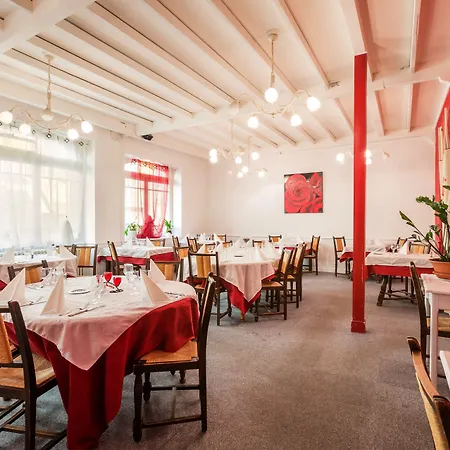 Logis Hotel Le Cygne-2