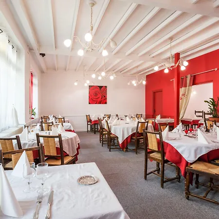 Logis Hotel Le Cygne-3
