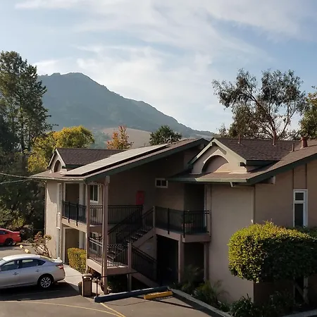 Olive Tree Inn & Suites, A Howard Johnson By Wyndham-3