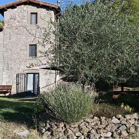 Podere Pontepietra-2