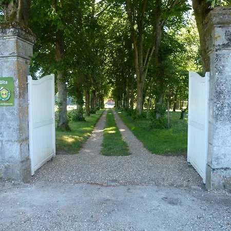 Le Grand Saint-Marc-2