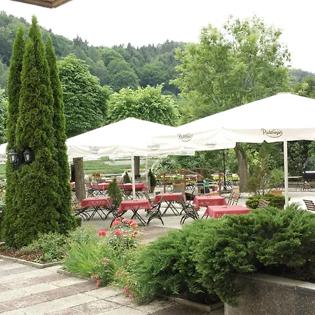 Elbhotel Bad Schandau-3
