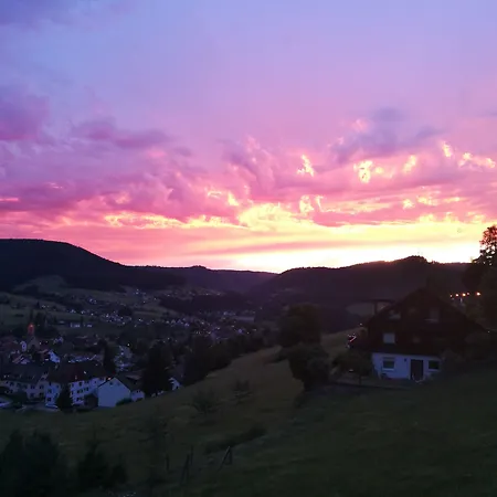 Gasthaus Talblick - Schwarzwald Plus Karte inkludiert-3