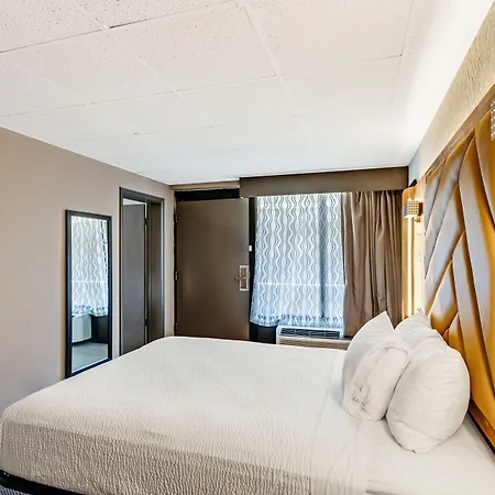 The Wander Hotel By Wyndham-2