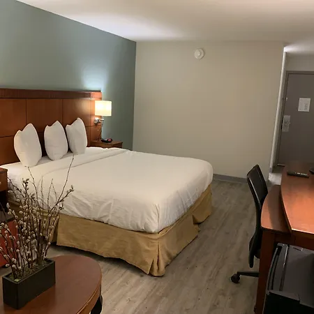 The Hotel Orange-2