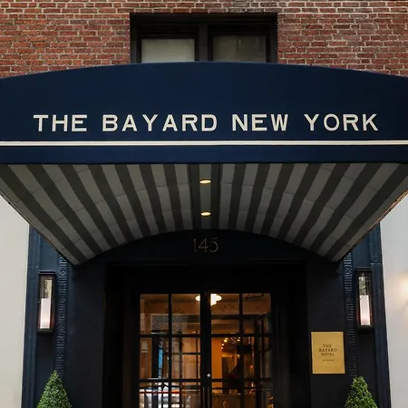 The Bayard-3