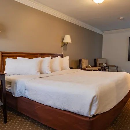 Senator Inn & Spa-2