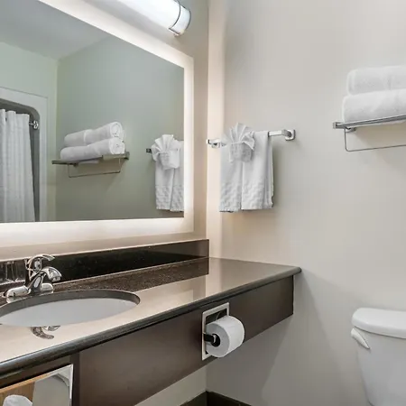 Best Western Plus Dartmouth Hotel&Suites-2