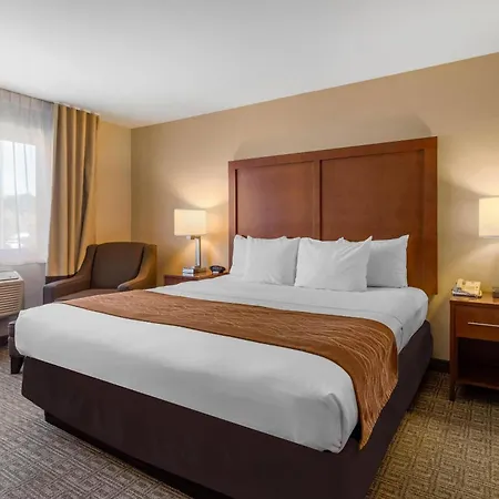 Comfort Inn & Suites Murrieta Temecula Wine Country-3