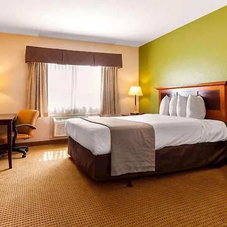 Auburn House Hotel-3