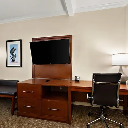 Comfort Suites Corpus Christi Central-2
