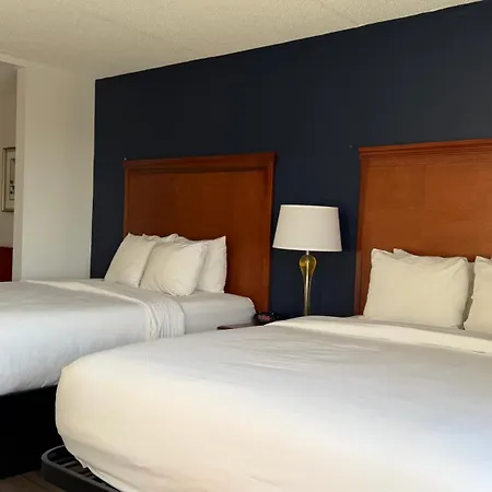 Comfort Suites Dulles Airport-2