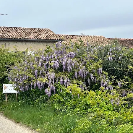Chambres D'Hotes Et Gites Le Mas Mellou-3