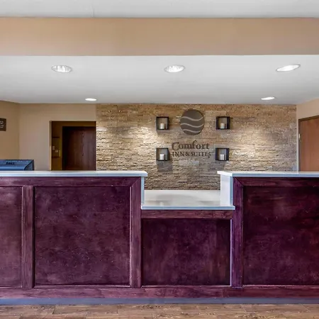 Comfort Inn & Suites Mccomb-2