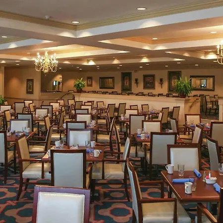 Hilton Jackson-2