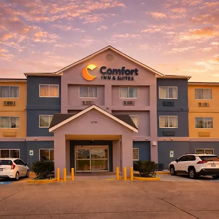 Comfort Inn & Suites Texas City I-45-3
