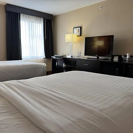 Baymont By Wyndham Plainfield/ Indianapolis Arpt Area-3