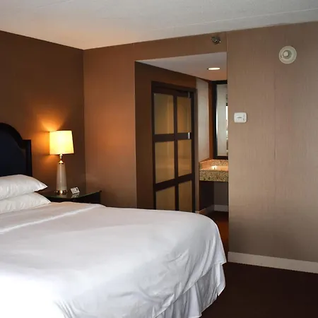 Sheraton Lisle Naperville Hotel-2