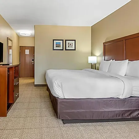 Comfort Inn & Suites Mccomb-3
