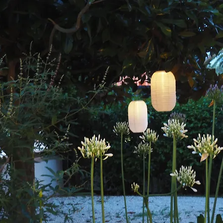 Aura Relais-3