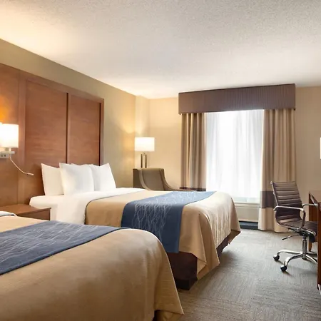 Comfort Inn & Suites Presidential-2